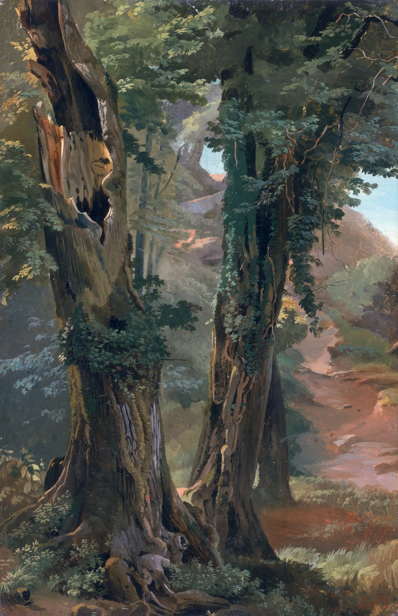 Old Elms, ca. 1835 (olie på papir om bord) af Friedrich Nerly