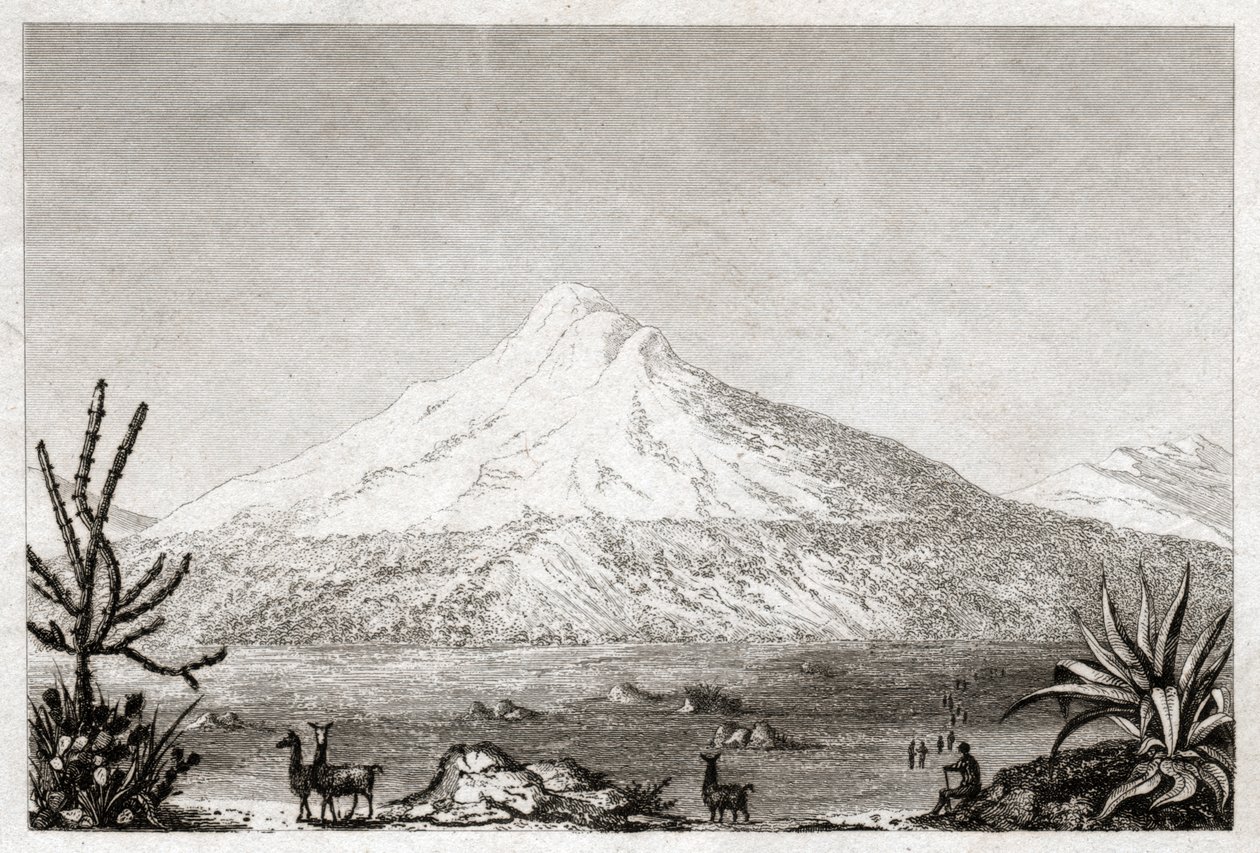 Chimborazo vulkan. (stik, ca. 1840) af Friedrich Alexander Baron von (after) Humboldt