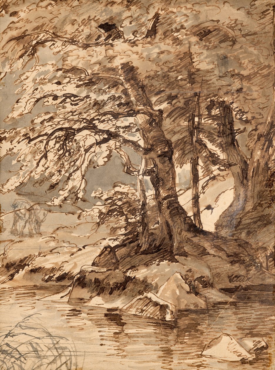 træ undersøgelse af Friedrich August Mathias Gauermann