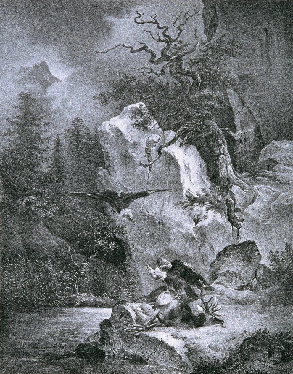 Grib med døde rådyr af Friedrich August Mathias Gauermann