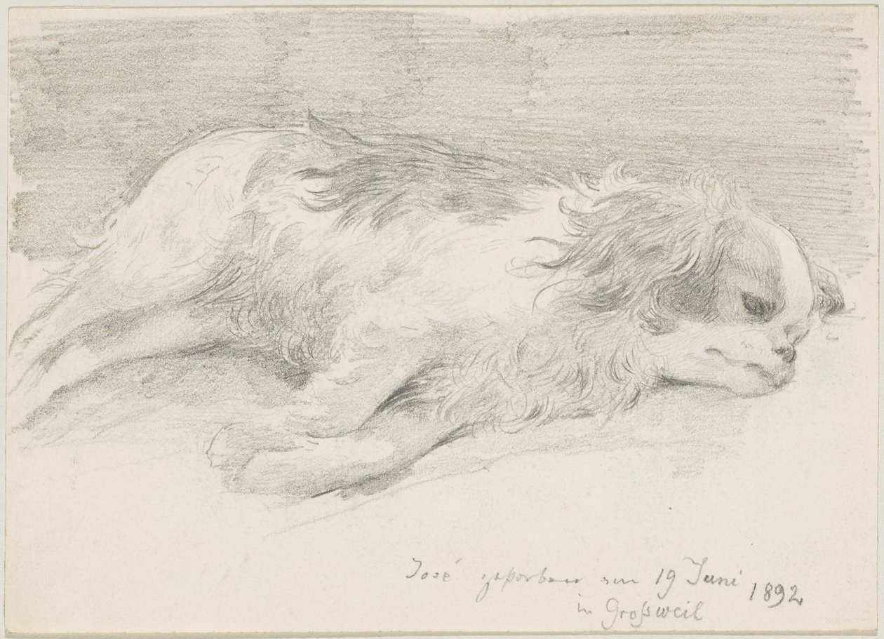 hundestudier af Friedrich August von Kaulbach