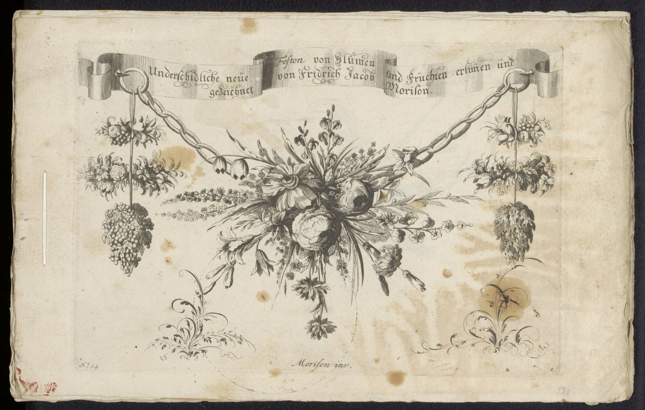 Anderledes ny festoon af blomster og frugter af Friedrich Jacob Morisson