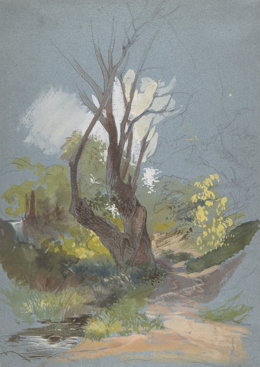 Bjergsti med et træ, 1820-78. af Friedrich Nerly