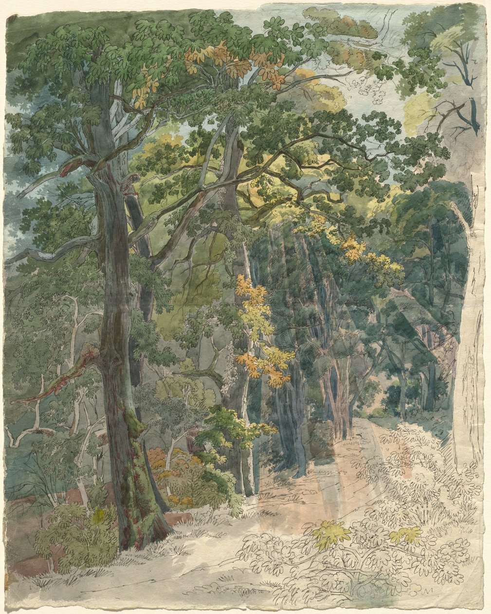 Solstråler rammer en skovsti af Friedrich Salathé