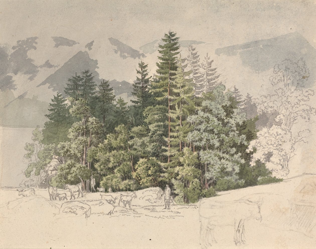 Alpint landskab (gouache over grafit) af Friedrich Salathe