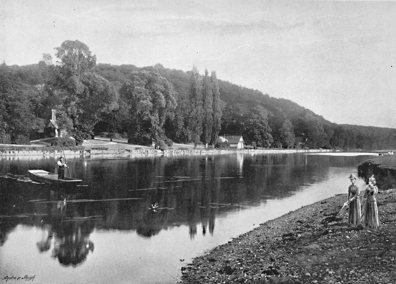 Cliefden Woods, c1896 af Frith and Co