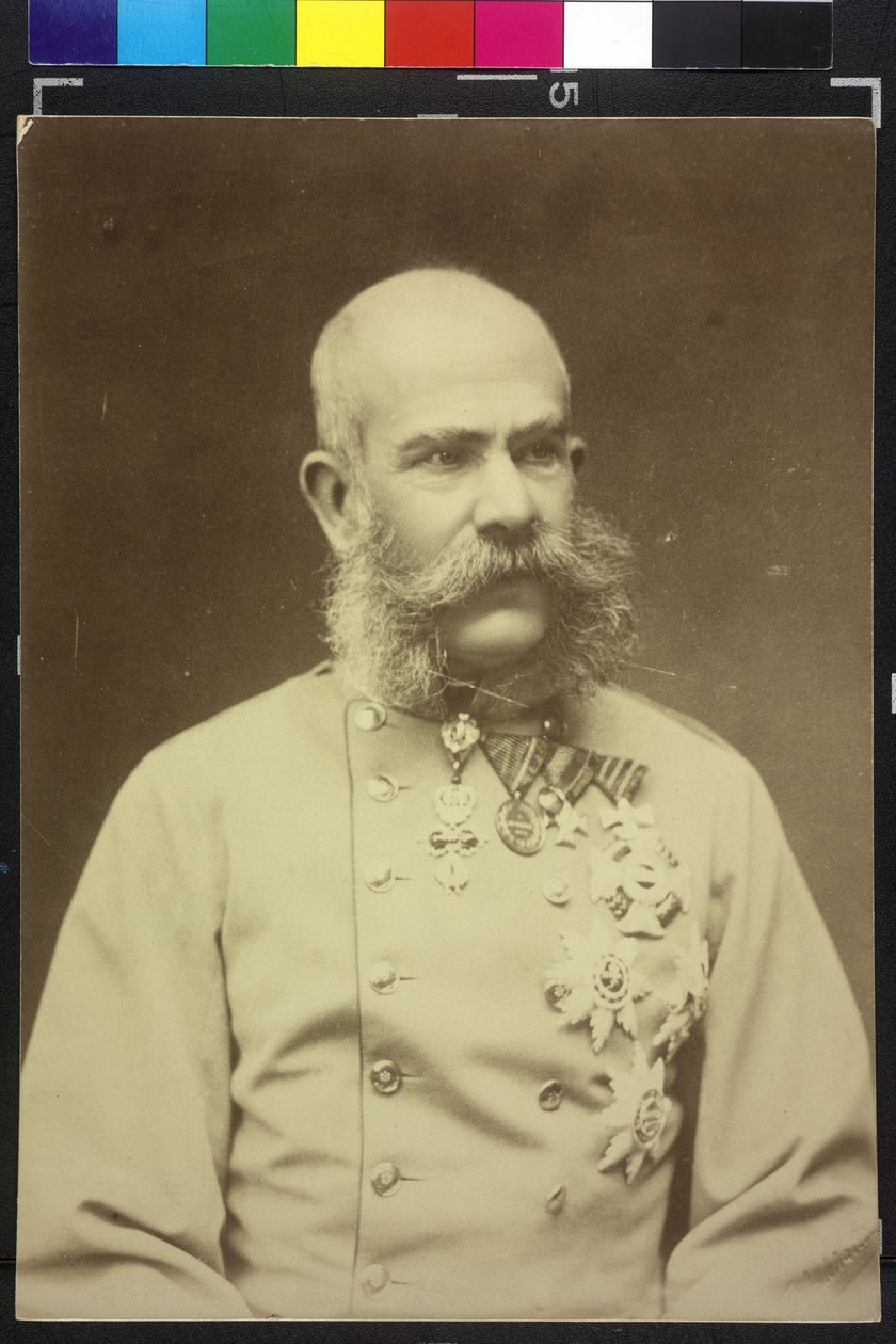 Franz Joseph I af Fritz Luckhardt