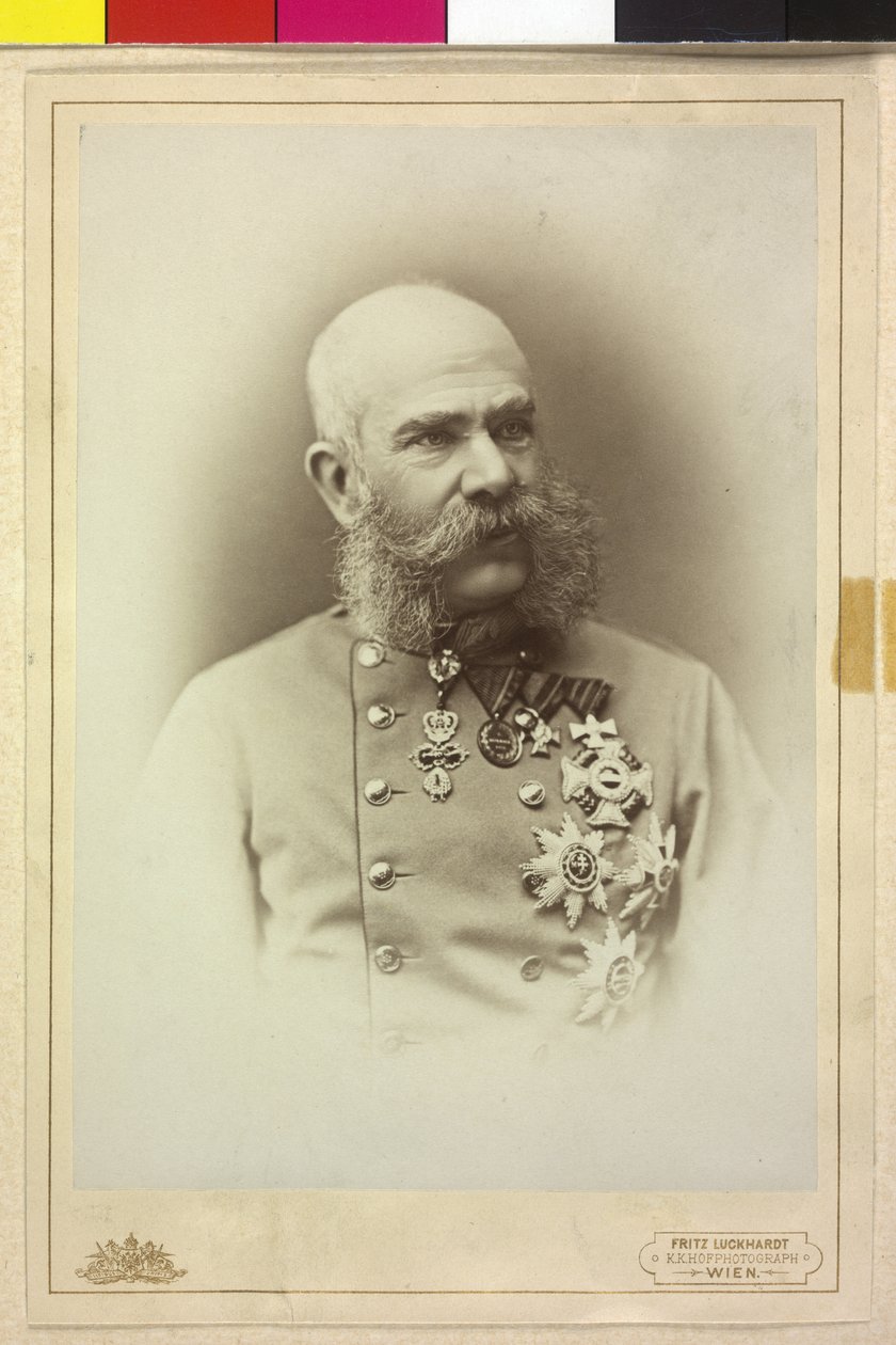 Franz Joseph I af Fritz Luckhardt