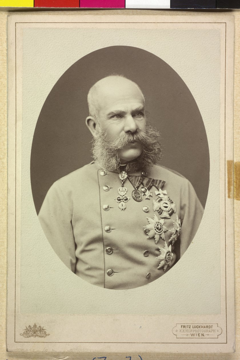 Franz Joseph I af Fritz Luckhardt