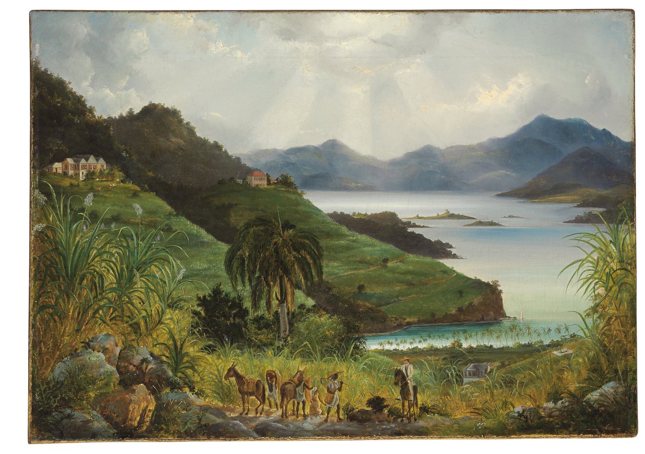 Cruz Bay; Cinnamon Bay, Dansk Vestindien (U.S. Virgin Islands) af Fritz Siegfried Georg Melbye