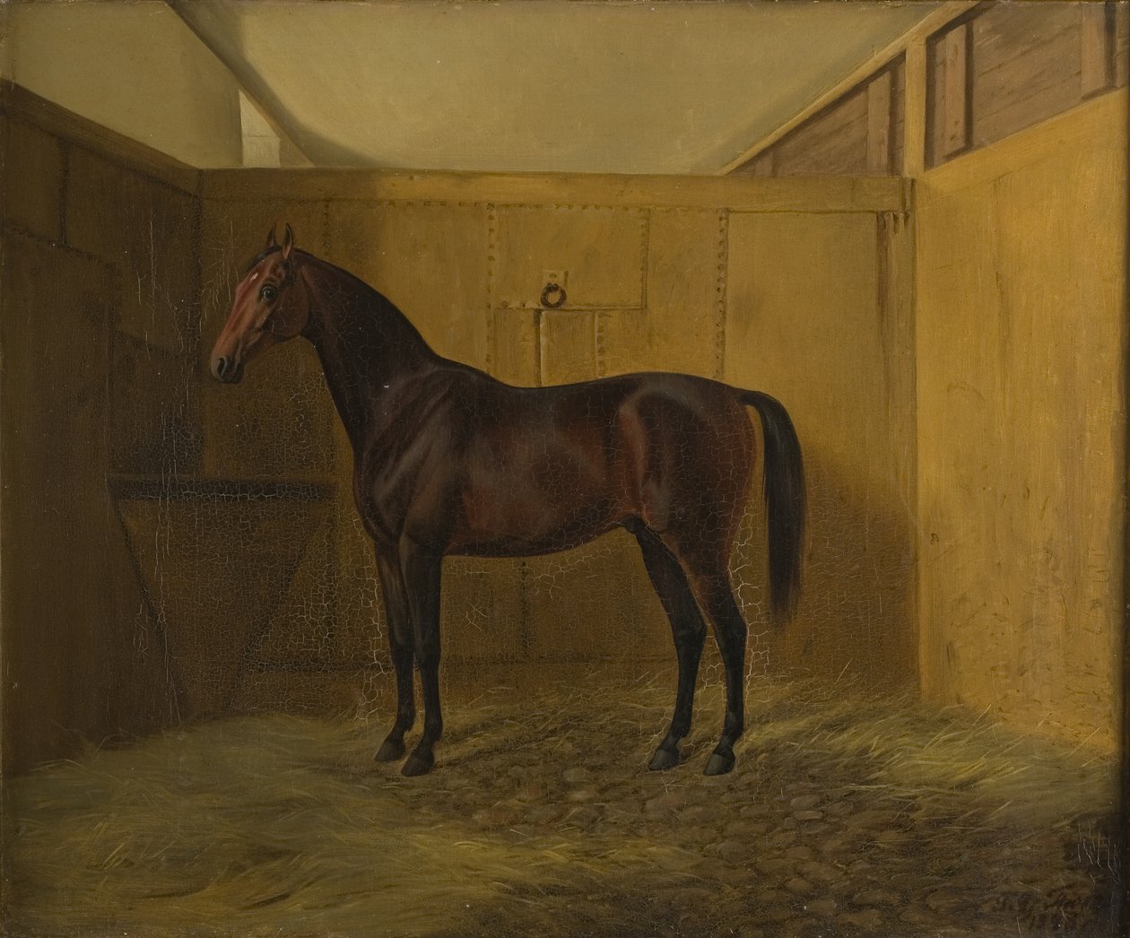 Hersilia af Fritz Thomsen