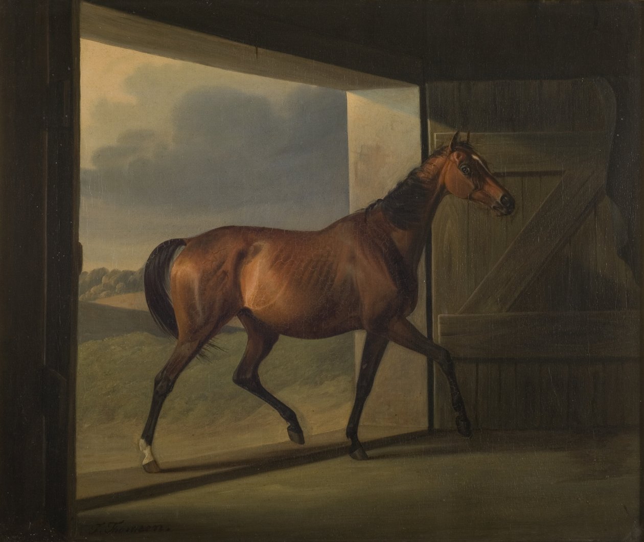 Jutta af Fritz Thomsen