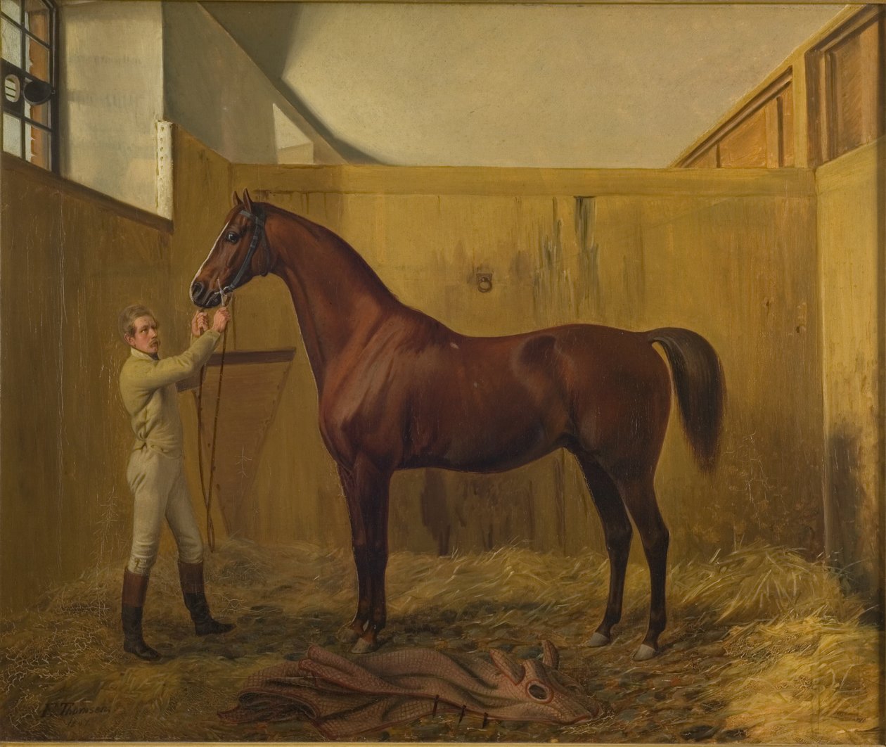 Rubiner af Fritz Thomsen