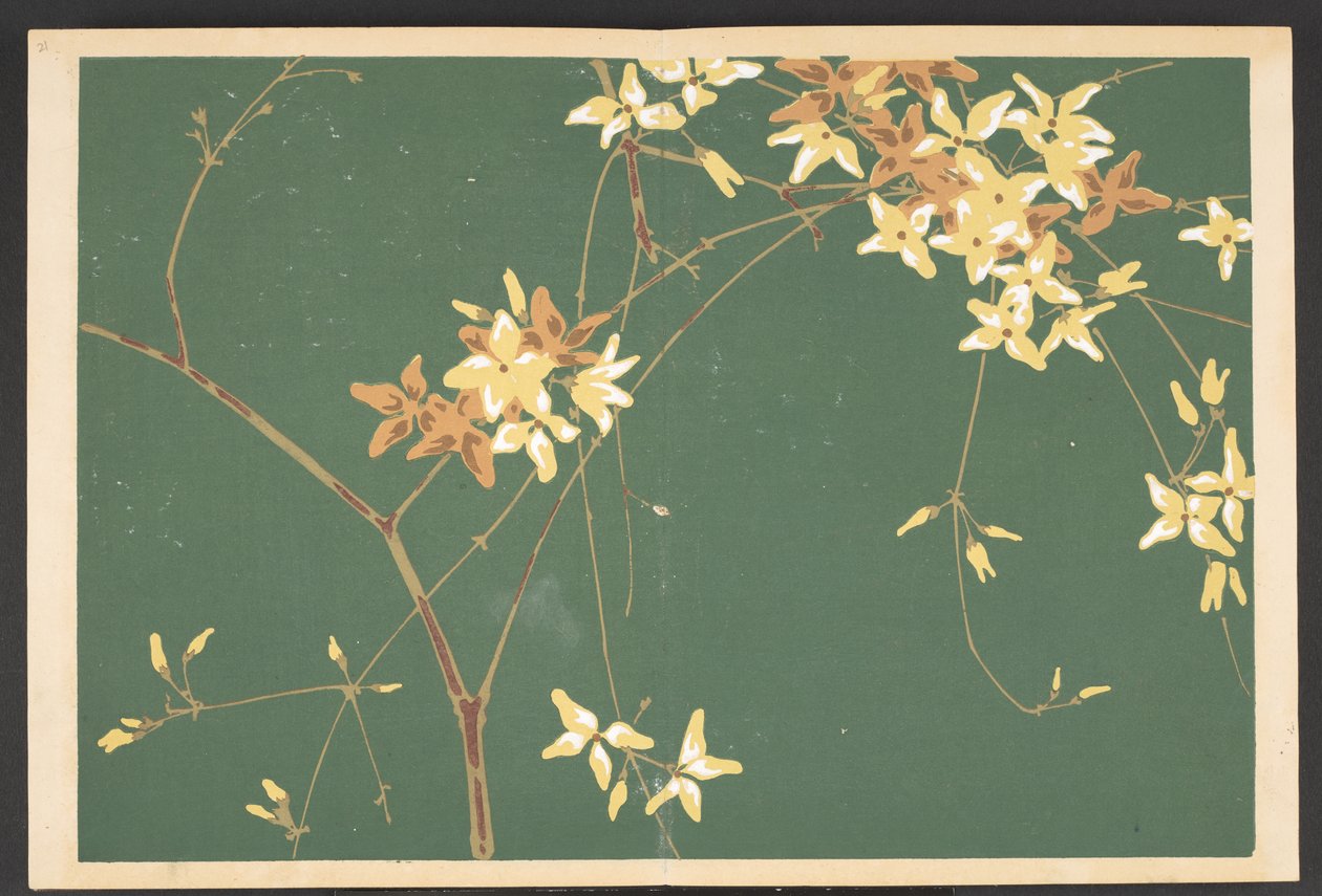 Shasei sôka môyô, Mønstre af planter og blomster fra livet af Furuya Korin