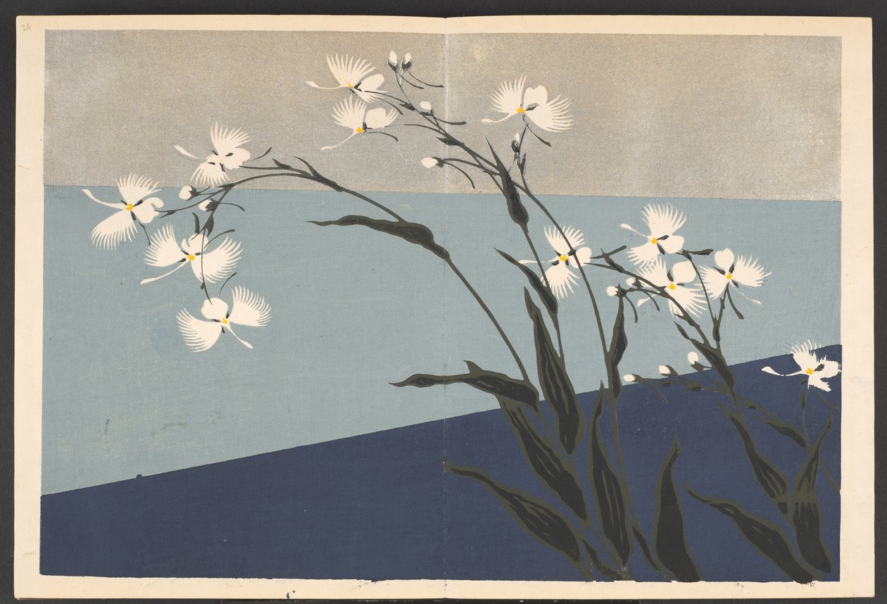 Shasei sôka môyô, Mønstre af planter og blomster fra livet af Furuya Korin