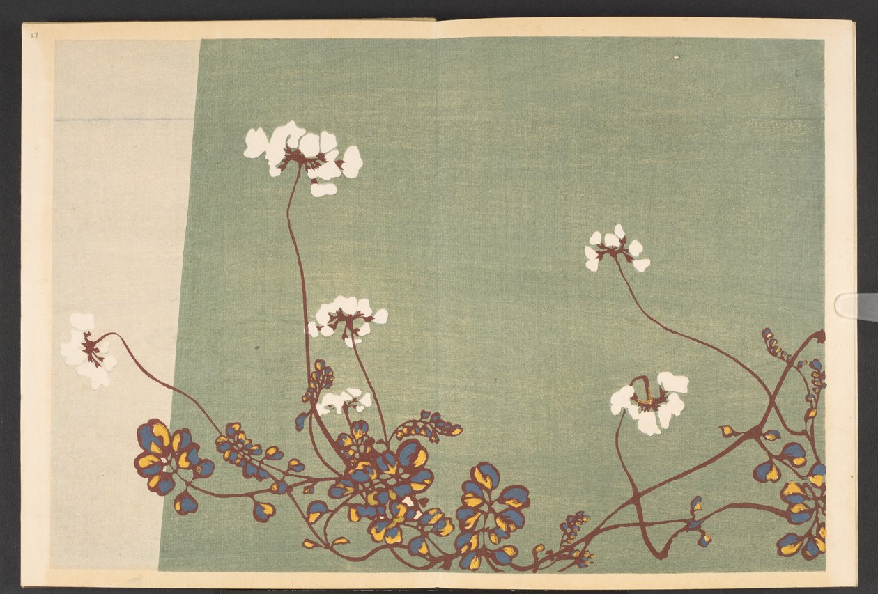 Shasei sôka môyô, Mønstre af planter og blomster fra livet af Furuya Korin