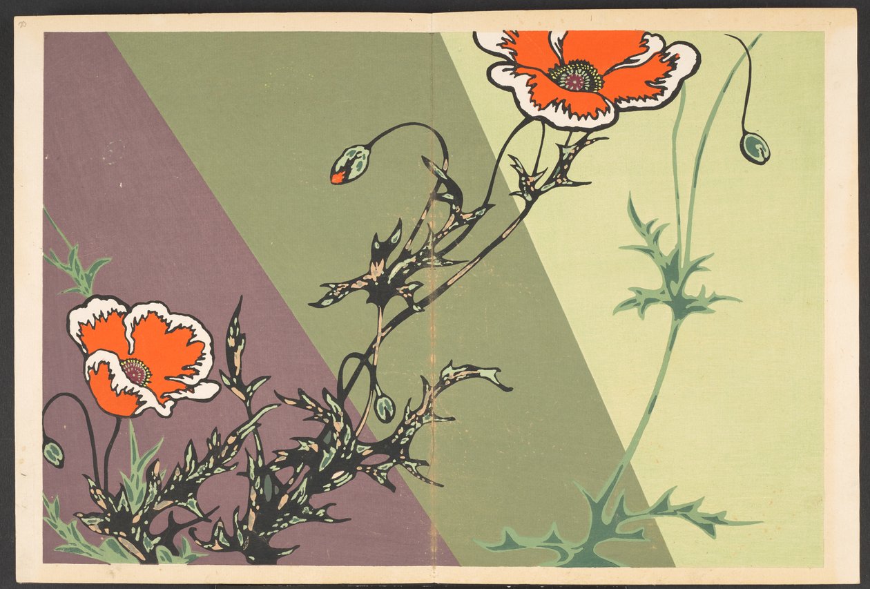 Shasei sôka môyô, Mønstre af planter og blomster fra livet af Furuya Korin