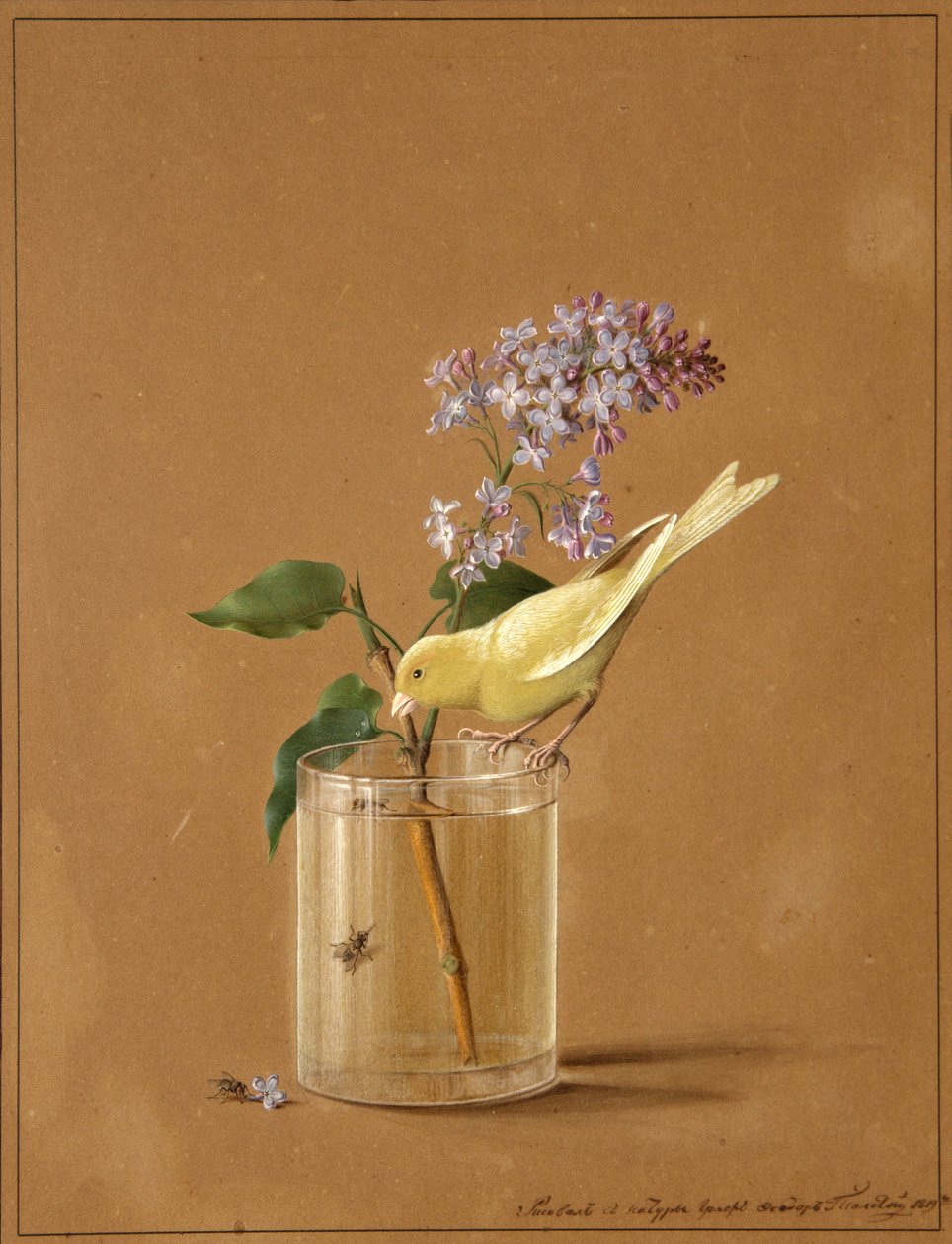 Kanariefugl på en lilla gren, 1819 af Fyodor Petrovich Tolstoy