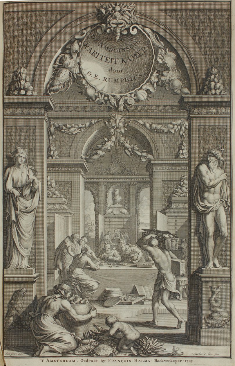 G. E. Rumphius, Amboinische Rariteikammer, Amsterdam 1705 af G. E. Rumphius