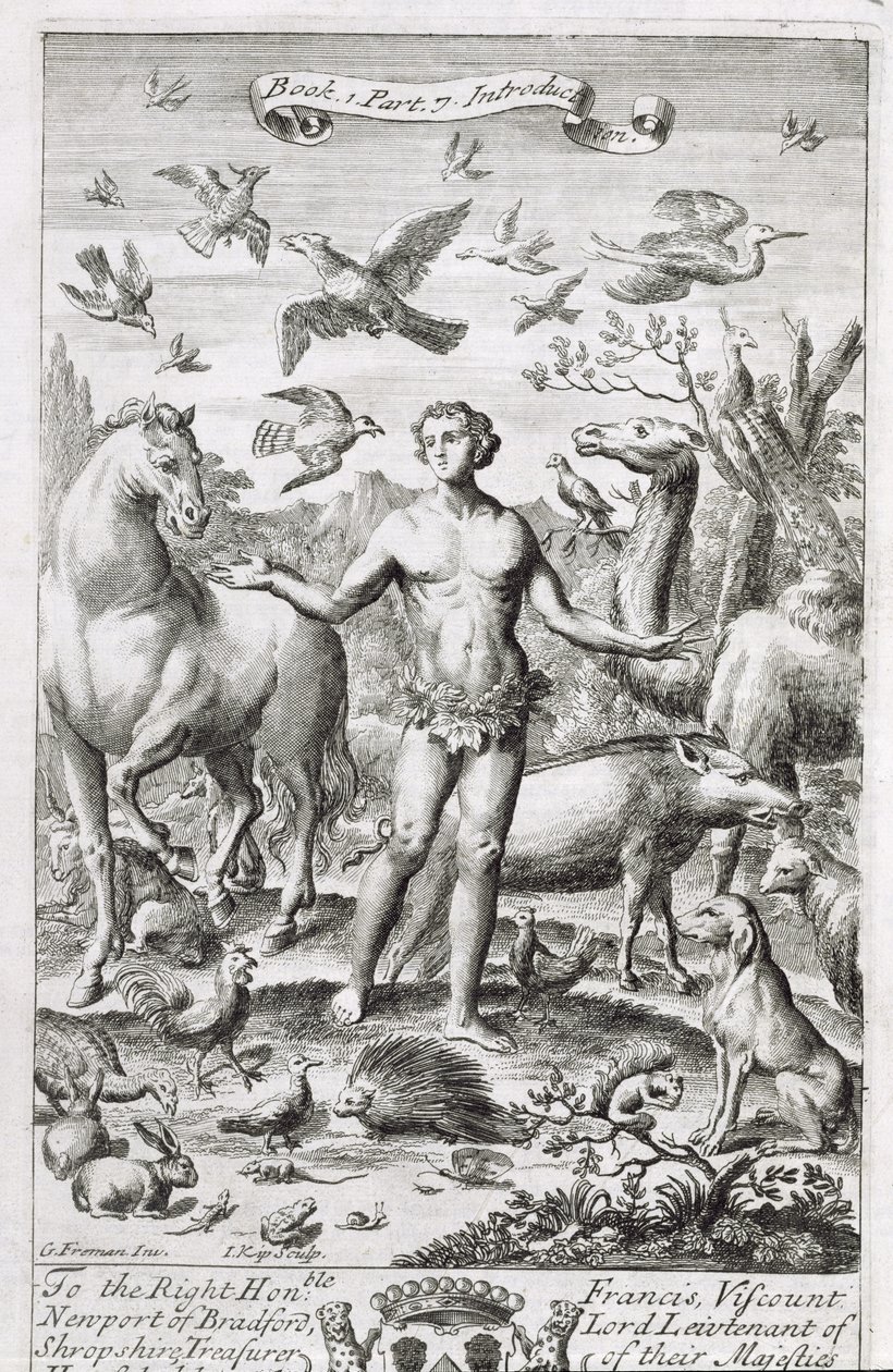 Adam i Paradiset med dyrene, illustration til indledningen til bog 1, del 7, i "Filosofiens principper" af Anthony Le Grand, graveret af Johannes Kip (165253-1722), 1694 af G Freman