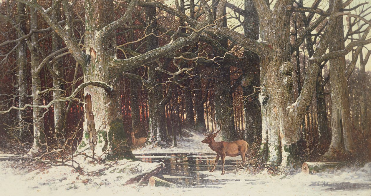 Rådyr i skoven, 1800-tallet af G. Schneyder