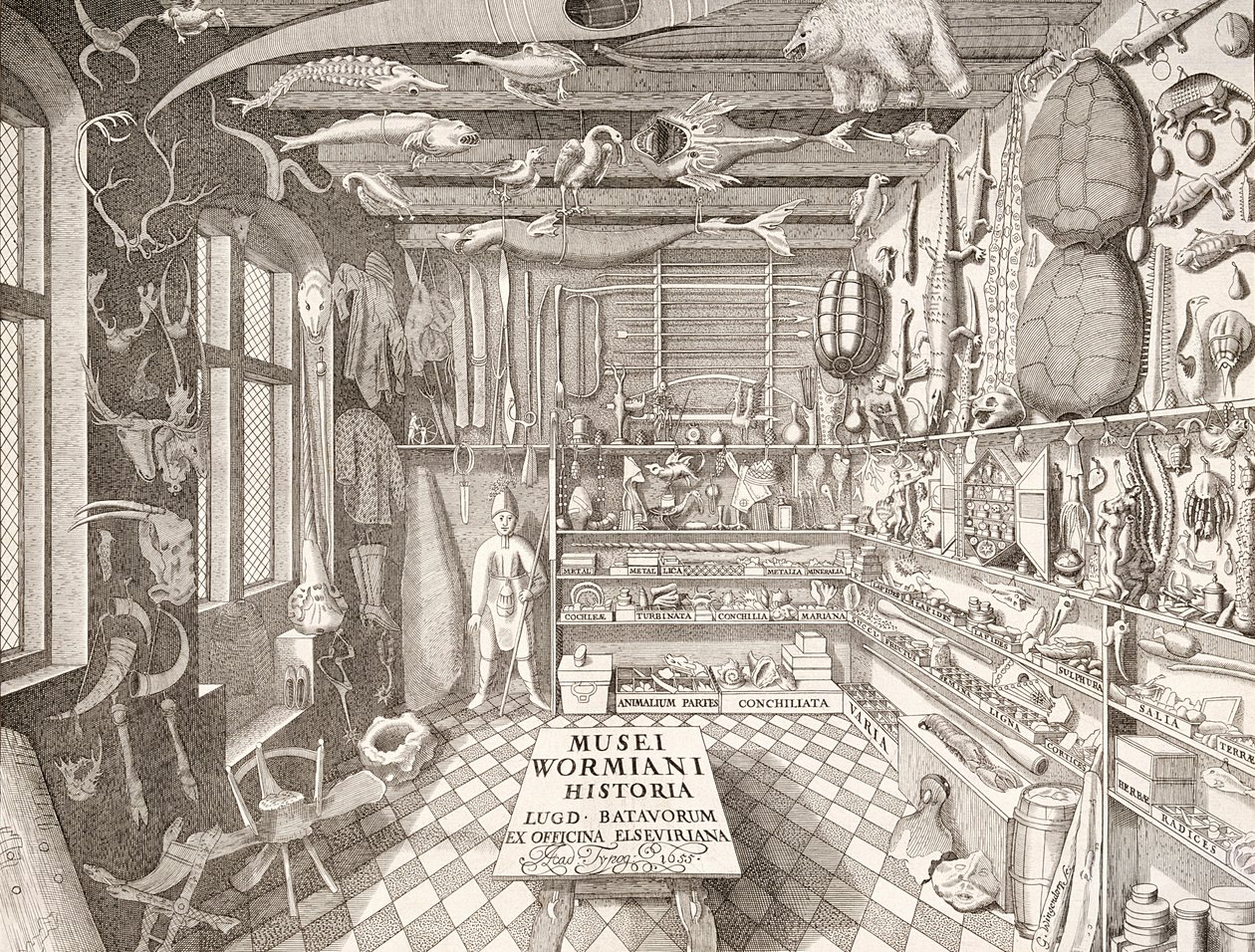Museum of Ole Worm, Leiden, 1655 af G. Wingendorp