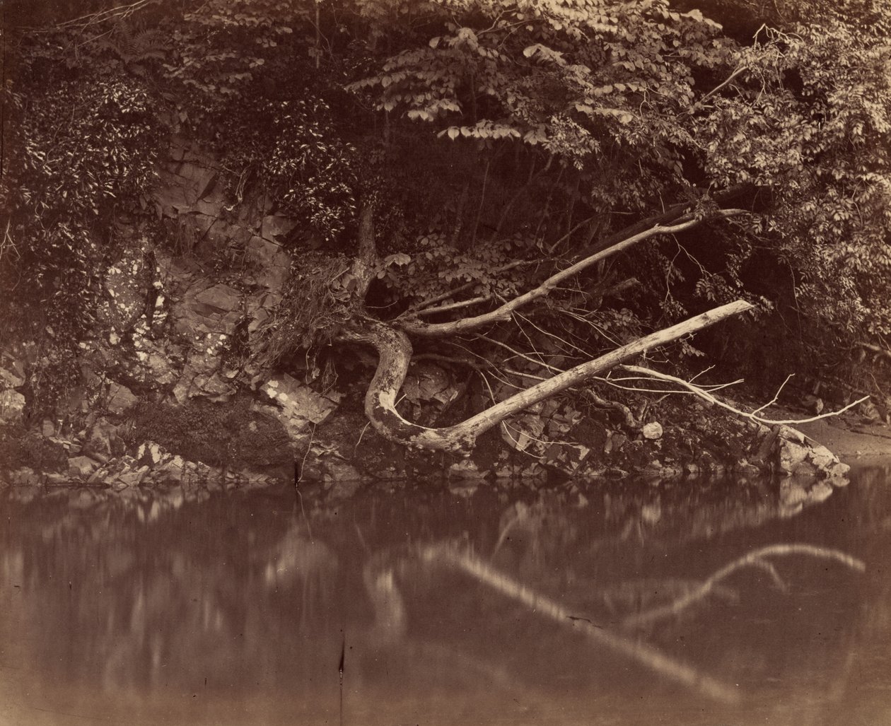 Flodbred i Vale of Neath, ca. 1855 (foto) af G.B. Gething