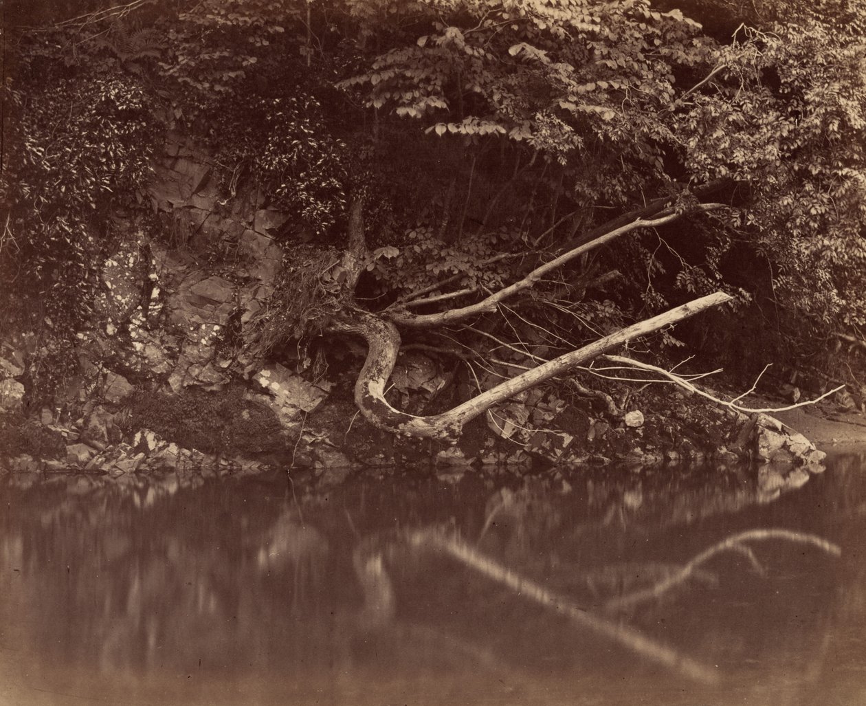 River Bank i Vale of Neath, ca. 1855. af G. B. Gething