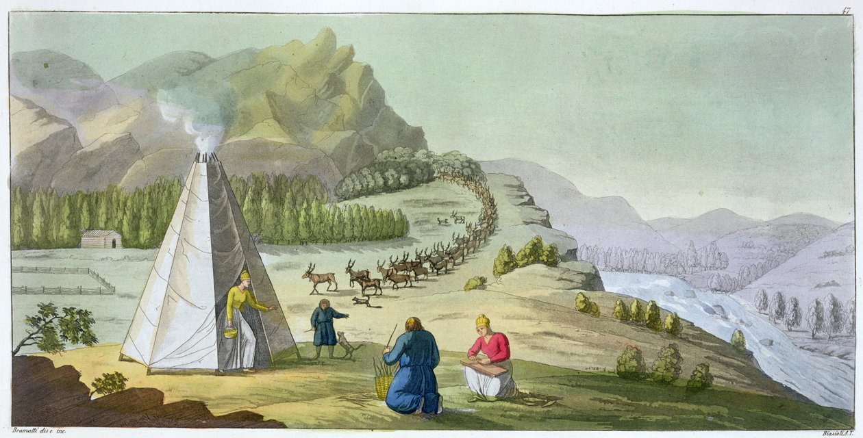 Hyrde rensdyr, Lapland, plade 47 fra 