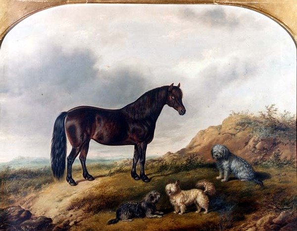 En pony og tre terriere i et landskab af G. Jackson