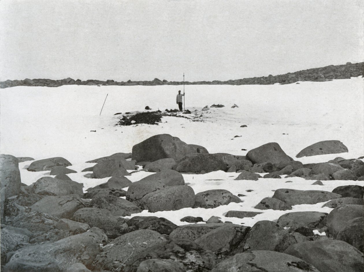 Eksteriør af Igloo, c1911, 1913 af G. Murray Levick
