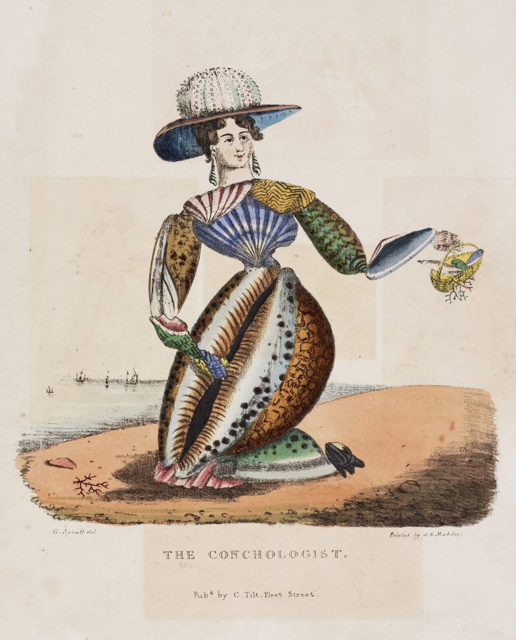 Konkologen, ca. 1831 af G. Spratt