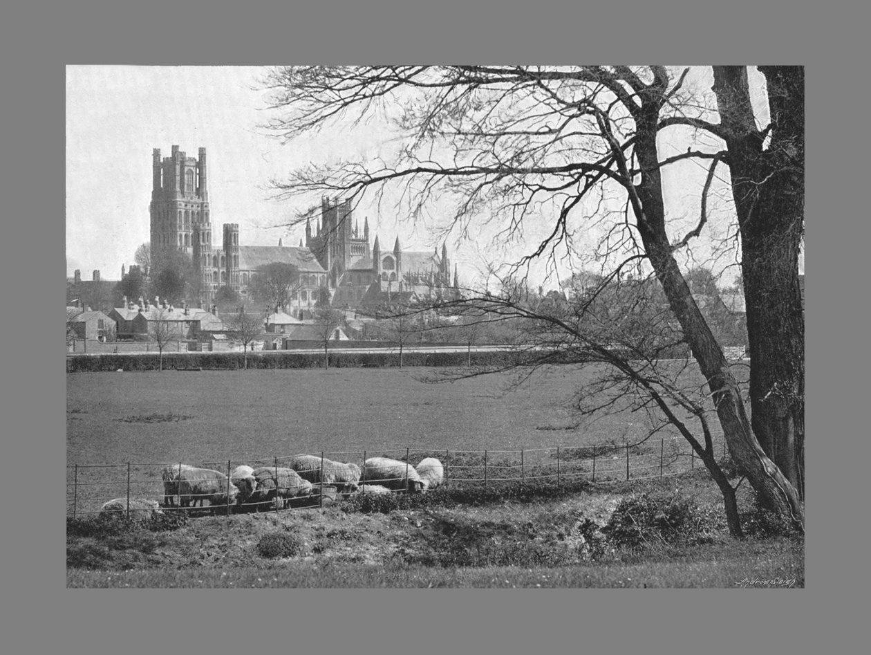 Ely Cathedral, c1900 af G. W. Wilson and Company