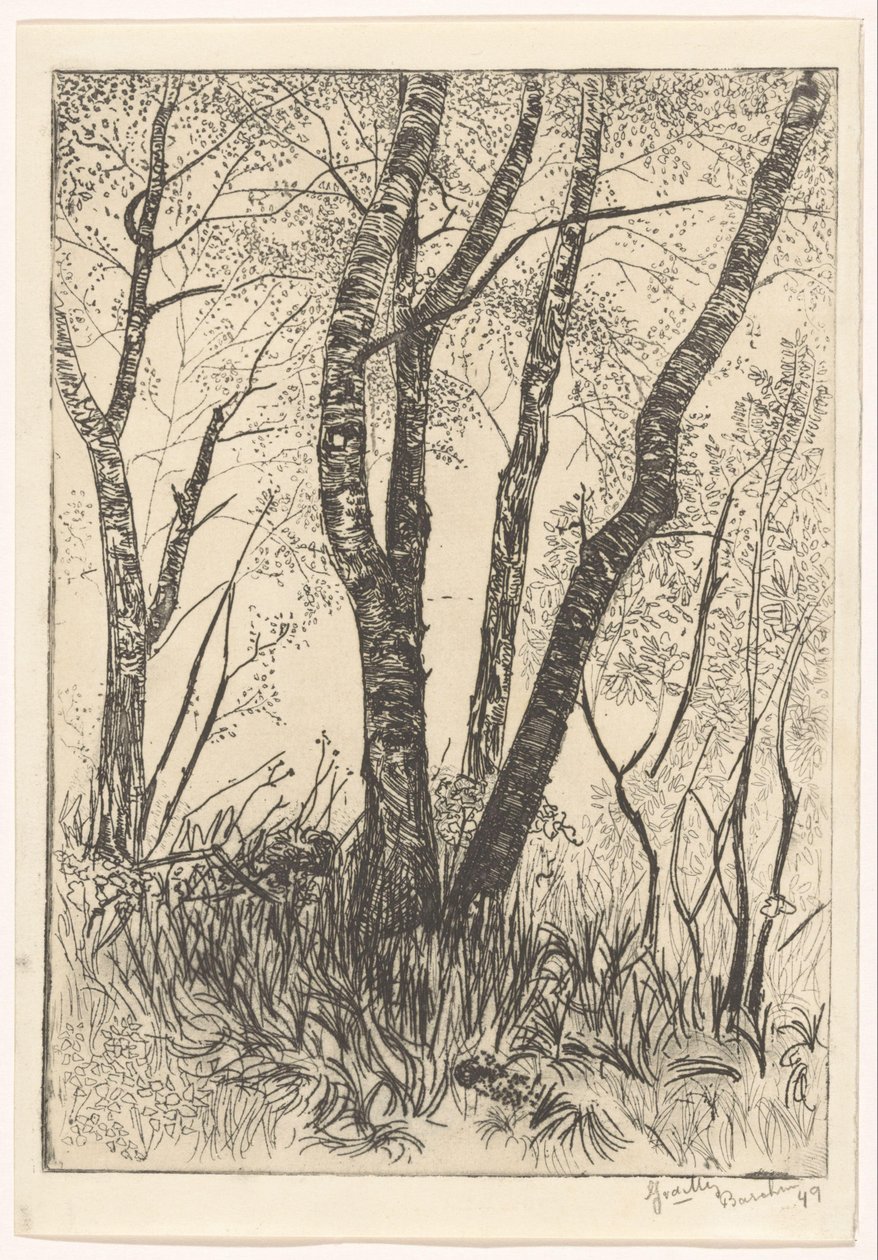 Træer i højt græs af G. van der Mey (signed by artist)