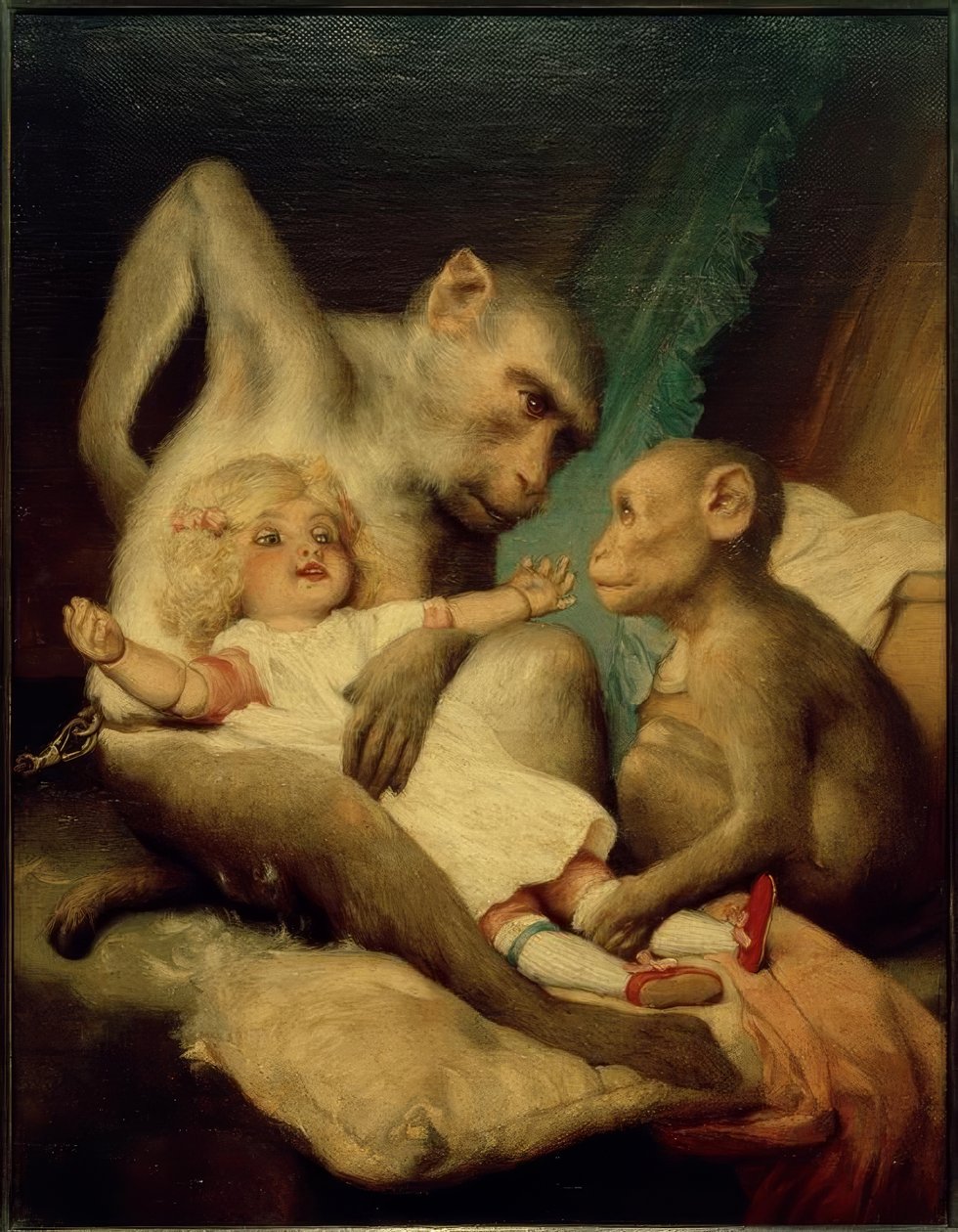 Antropologiske klasser af Gabriel Cornelius Ritter von Max