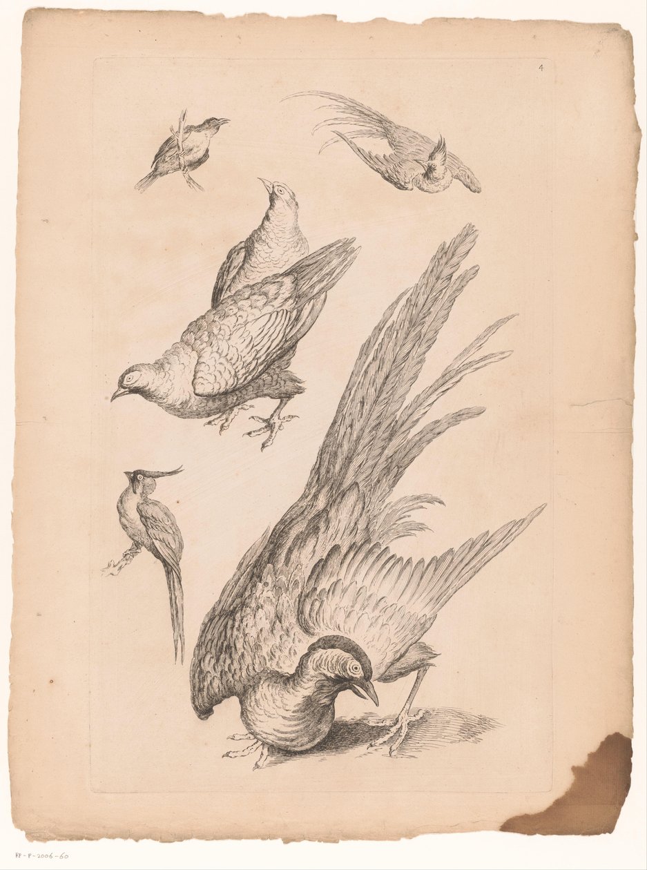 Zes kinesiske fugle Verschillende kinesiske fugle (serietitel) Bog med forskellige fuglearter i Kina (serietitel) af Gabriel Huquier (attributed to)