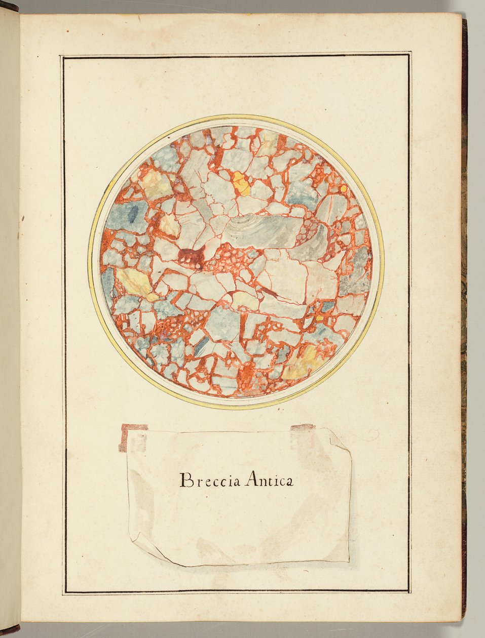 Breccia Antica, fra forskellige stentyper, Italien af Gaetano Piccini