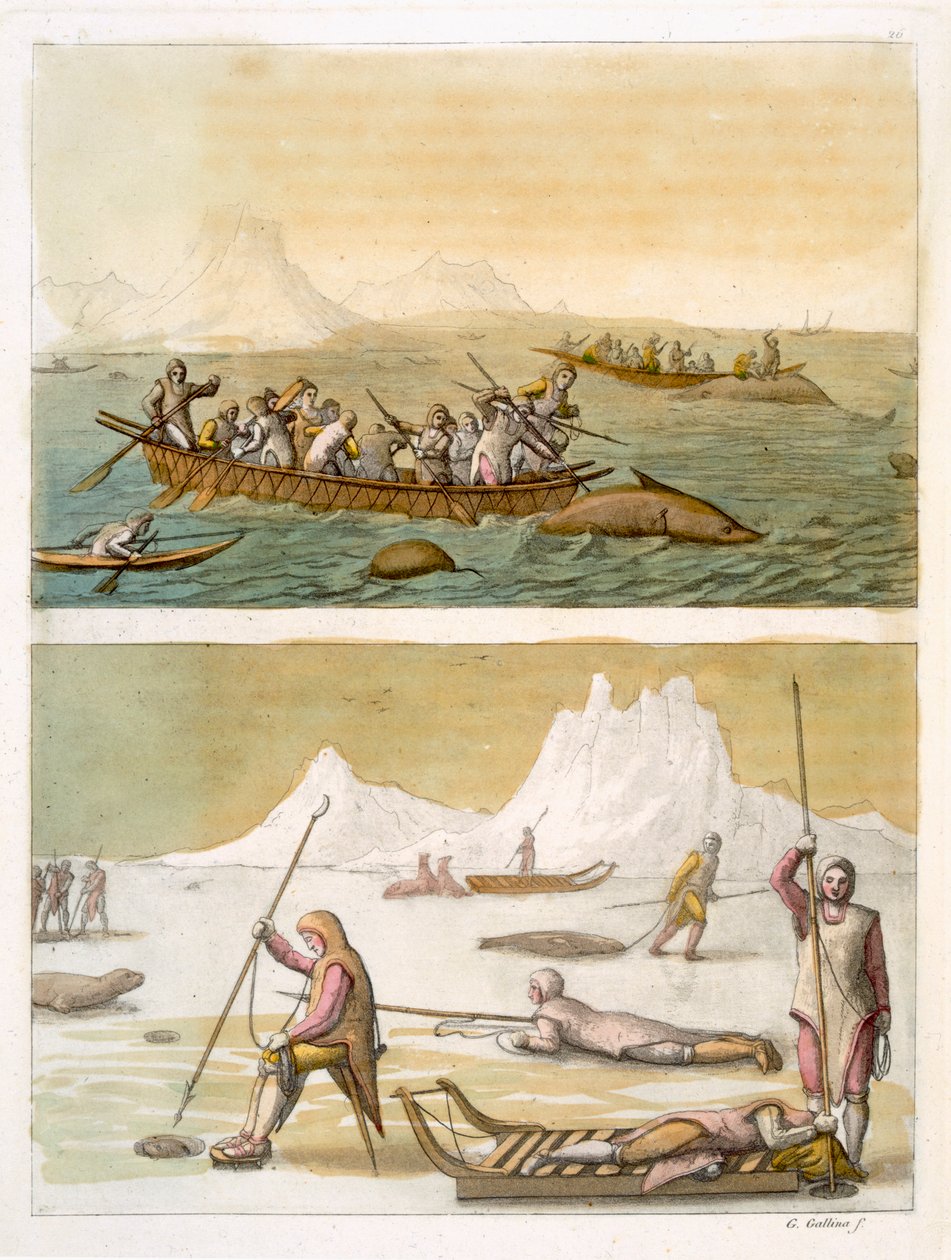 Grønland: Hvalfiskeri og sæljagt, fra 