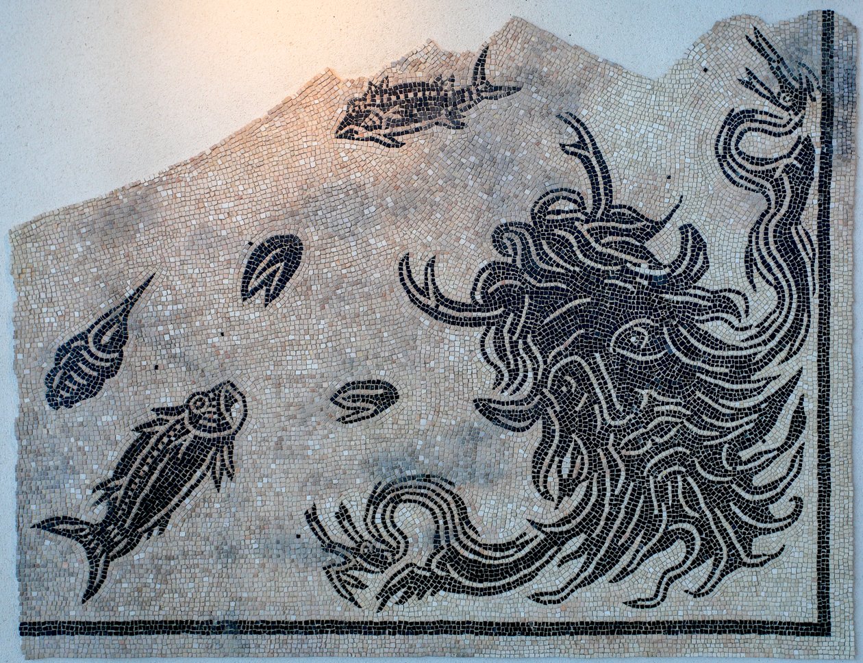 Mosaik, der forestiller havgudens hoved med havdyr af Gallo-Roman