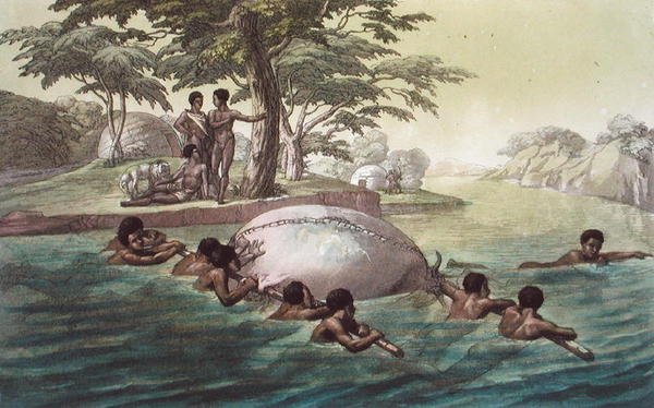 Gingri Tribesmen Crossing the River Zebee, plade 67 fra 