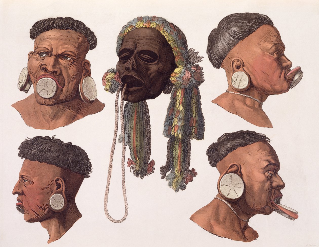 Heads of Botocudos Indians (farvegravering) af Gallo Gallina