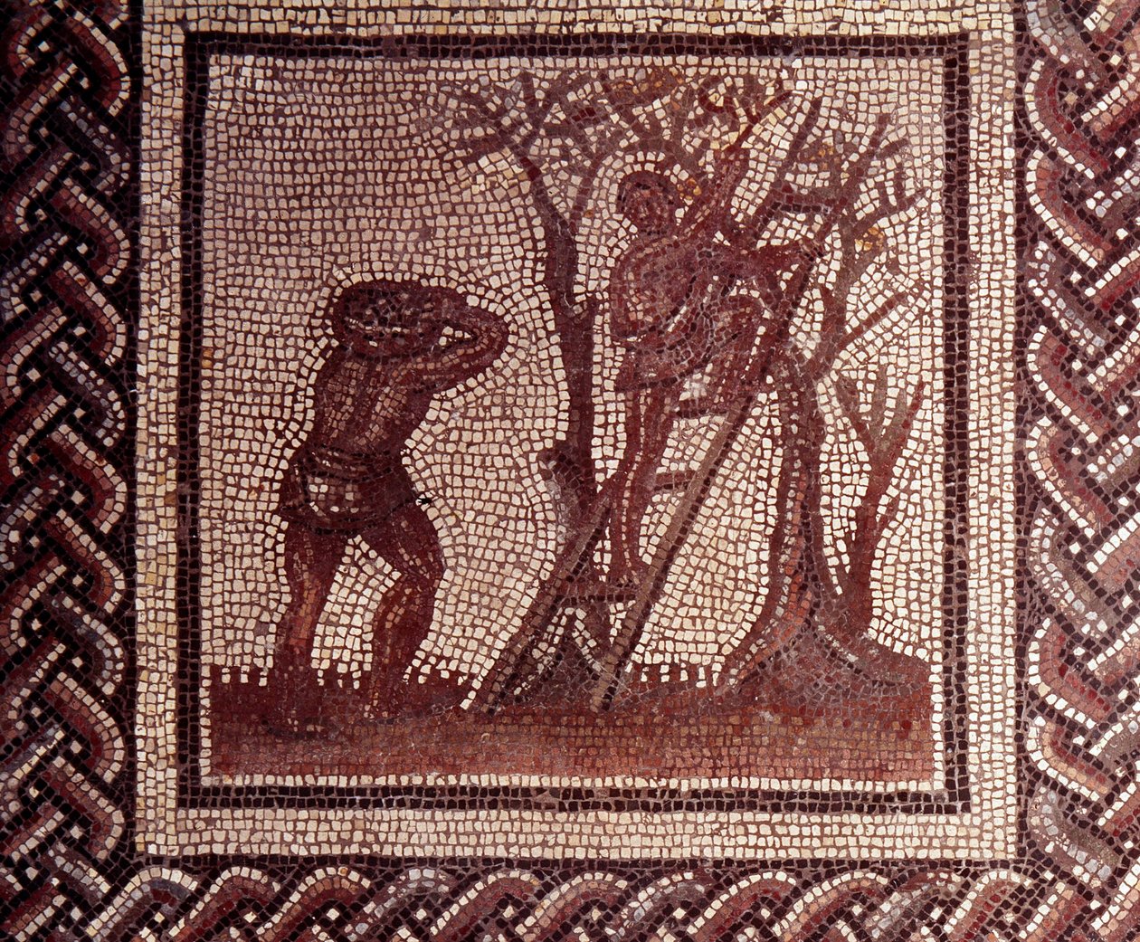 Gallo romersk kunst: mosaikbelægning, der repræsenterer en rustik kalender. Olivenplukningsscene. Slutning 2., begyndelsen af 3. århundrede efter JC. Fra Saint-Romain-en-Gal (Rhône). Saint Germain en Laye, Nationalmuseet for arkæologi af Gallo Roman