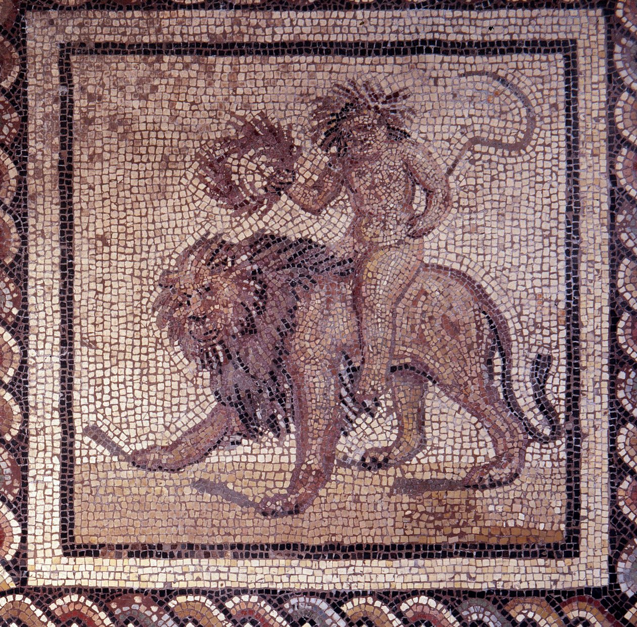 Gallo romersk kunst: mosaikbelægning, der repræsenterer en rustik kalender. Sommer allegori om en løve. Slutning 2., begyndelsen af 3. århundrede efter JC. Fra Saint-Romain-en-Gal (Rhône). Saint Germain en Laye, Nationalmuseet for arkæologi af Gallo Roman