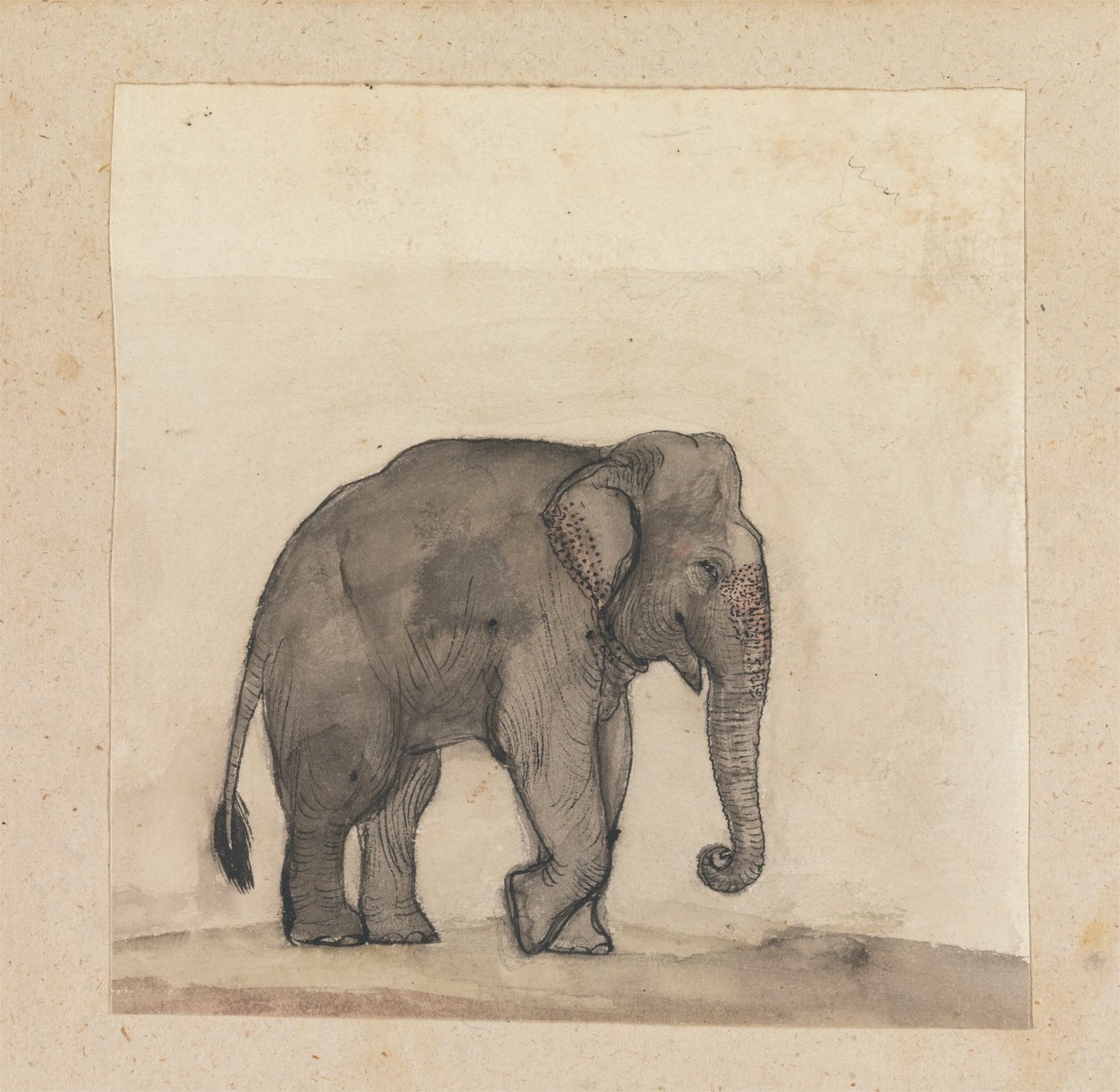 Elefant af Gangaram Chintaman Tambat
