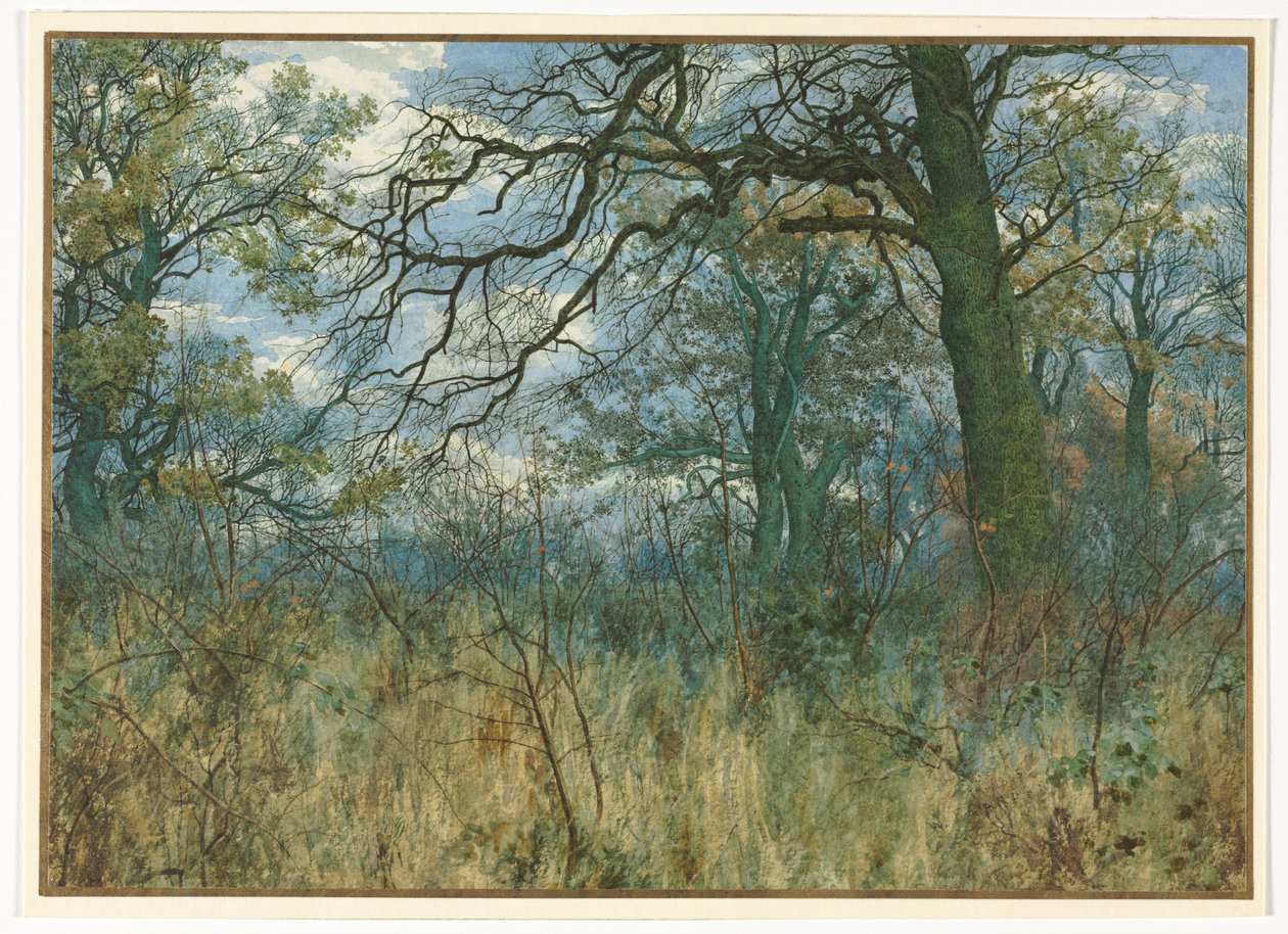 Træer og underskov af Garden William Fraser
