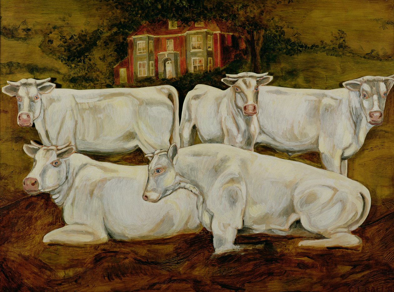 Charolais Bulls, Dippenhall, Farnham af Gareth Lloyd Ball