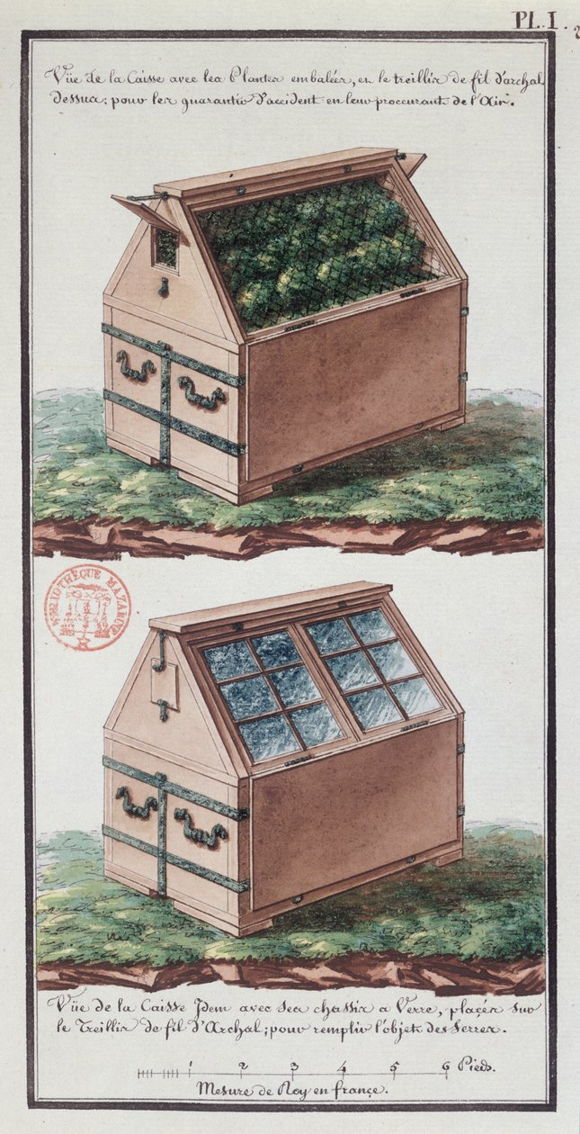 Illustration af en kommode til transport af planter, fra kunstnerens notesbog lavet under Jean-Francois Gallup de la Perouses ekspedition (1741-88) (pen og blæk og wc på papir) af Gaspard Duche de Vancy
