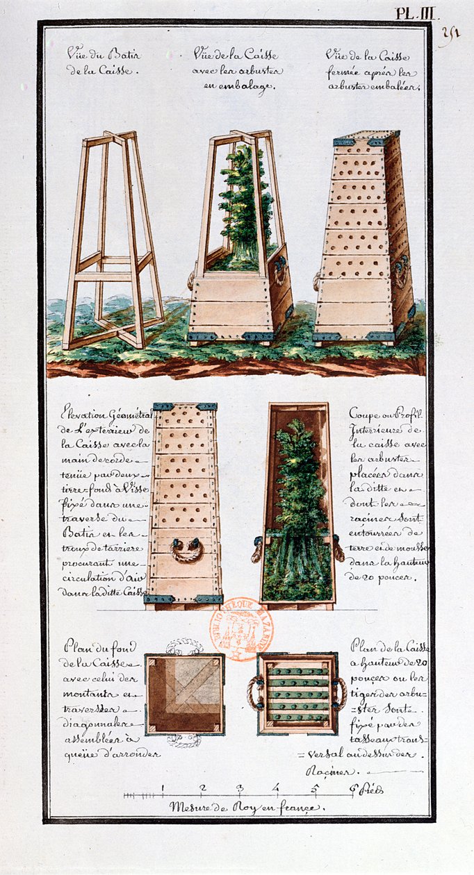 Illustration af et særligt skab til transport af buske og kviste, fra kunstnerens notesbog fra Jean-Francois Gallup de la Perouses (1741-88) ekspeditioner (pen og blæk og wc på papir) af Gaspard Duche de Vancy