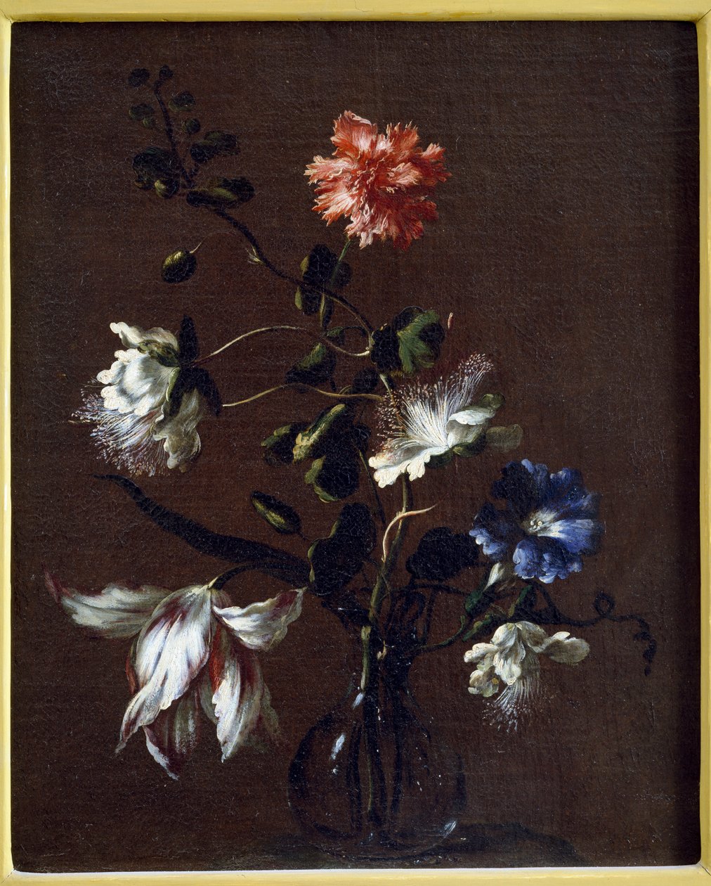 Stilleben af kapersblomster, nelliker, vinde og tulipaner af Gasparo Lopez
