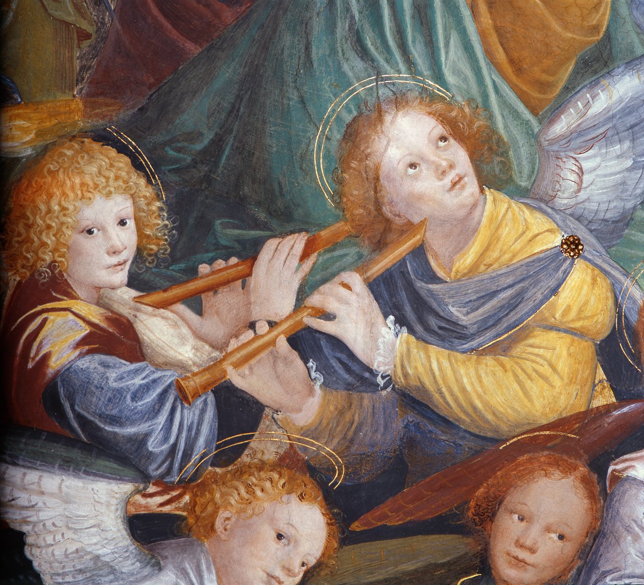 Englenes Koncert, 1534-36 (detaljer) (se 175762) af Gaudenzio Ferrari